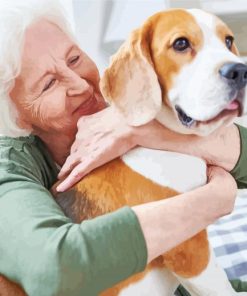 Old Woman And Dog Paint By Number