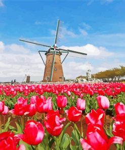 Red Tulpen En Molen Paint By Number