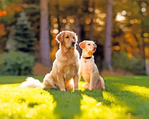 Sitting Dog In Garden Paint By Number