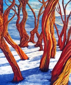 Snow Gums Art Paint By Number