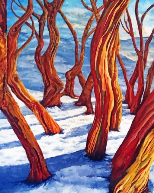 Snow Gums Art Paint By Number