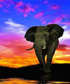 Tropical Elephant Sunset Paint By Number