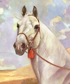 White Vintage Horse Paint By Number