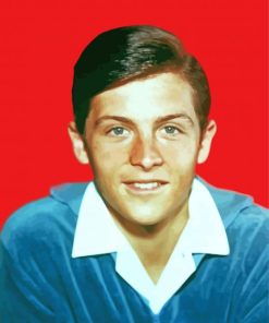 Young Burt Ward Paint By Number